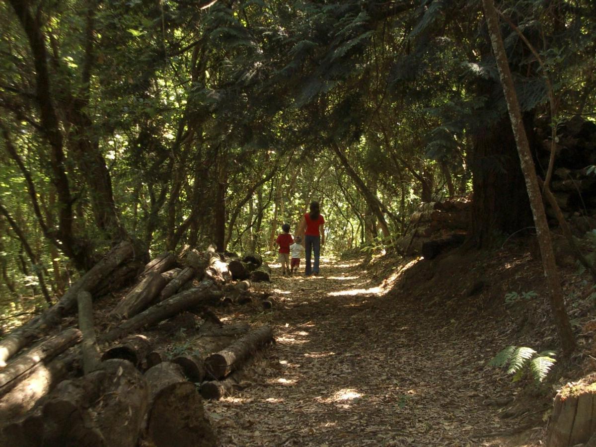 Вилла Quinta De Santa Julia Пезу-да-Регуа Экстерьер фото