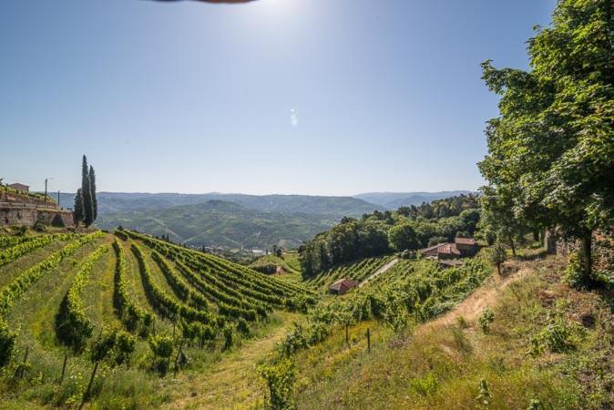 Вилла Quinta De Santa Julia Пезу-да-Регуа Экстерьер фото