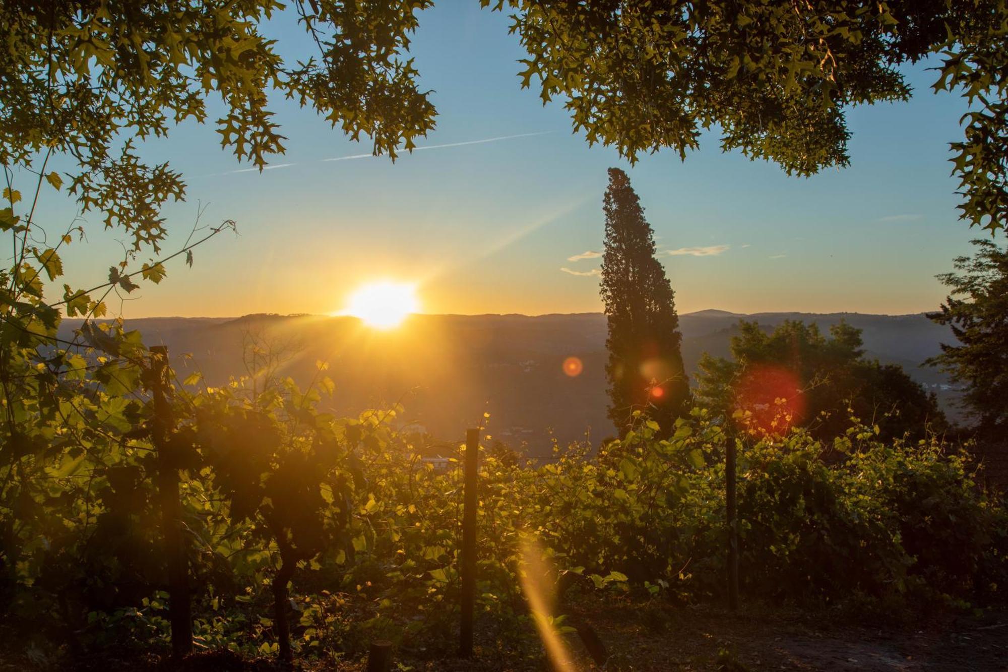Вилла Quinta De Santa Julia Пезу-да-Регуа Экстерьер фото
