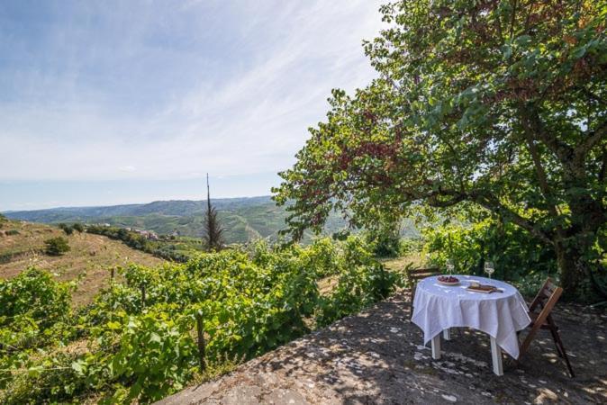 Вилла Quinta De Santa Julia Пезу-да-Регуа Экстерьер фото