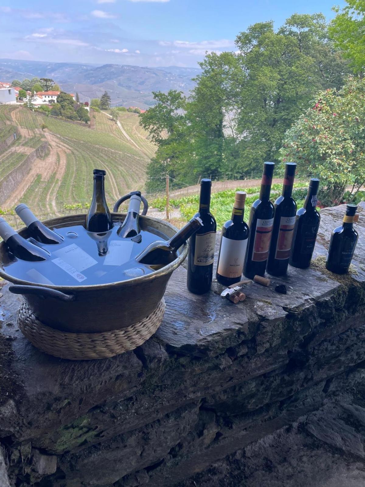 Вилла Quinta De Santa Julia Пезу-да-Регуа Экстерьер фото